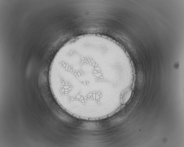 X0000116830499201001291646