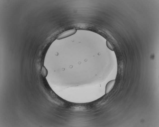 X0000116830500201001291646