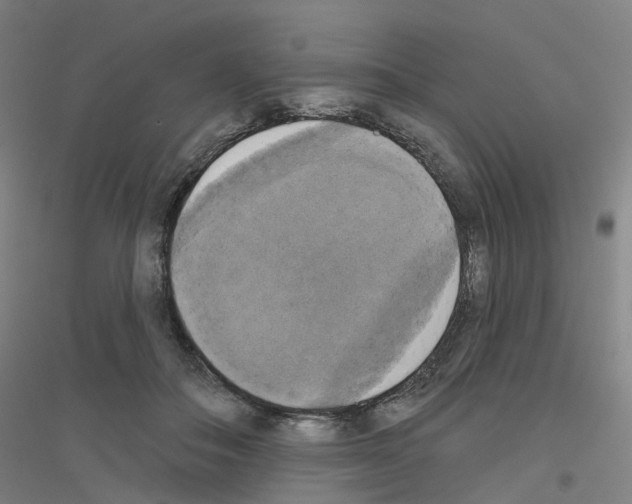 X0000116830506201001291646