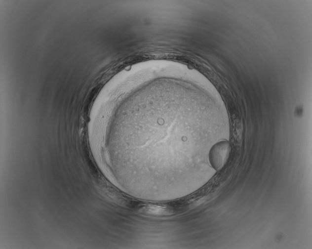 X0000116830507201001291646