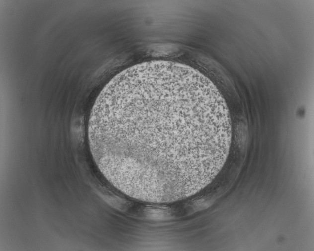 X0000116830510201001291646