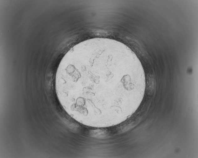 X0000116830511201001291646