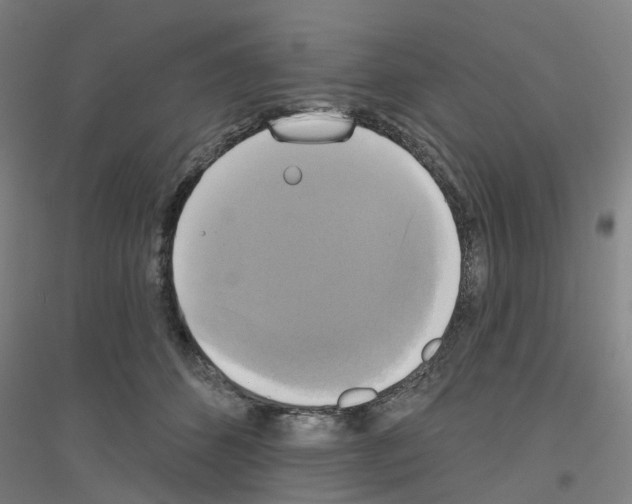 X0000116830512201001291646