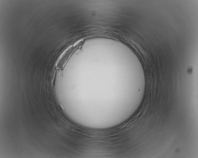 X0000116830513201001291646