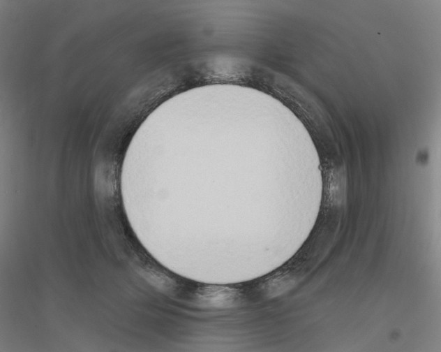 X0000116830514201001291646