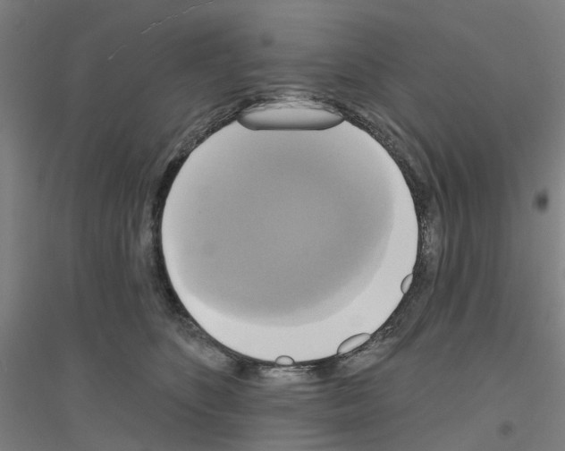 X0000116830516201001291646