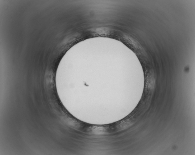 X0000116830518201001291646