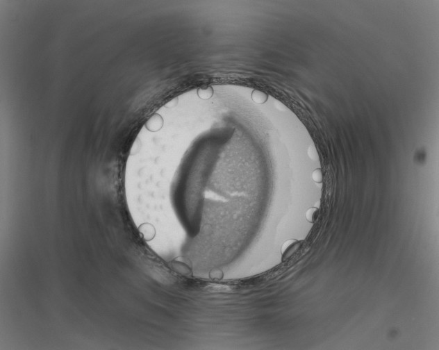 X0000116830519201001291646