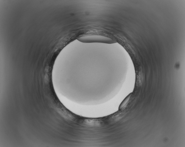 X0000116830520201001291646