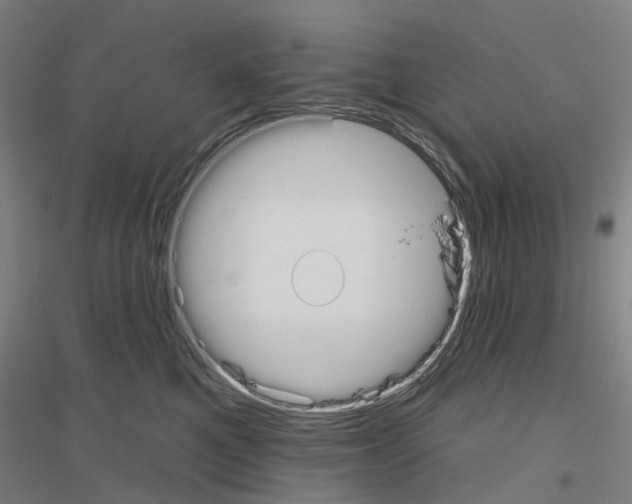 X0000116830521201001291646