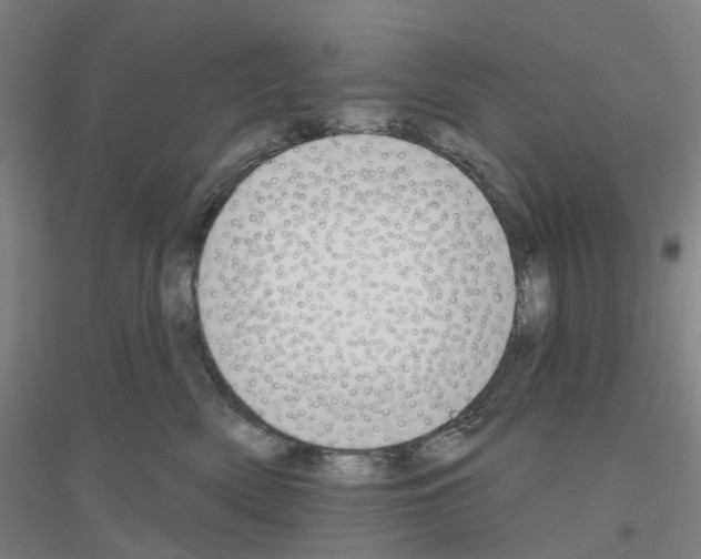 X0000116830522201001291646