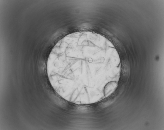 X0000116830523201001291646