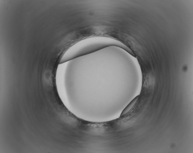 X0000116830524201001291646