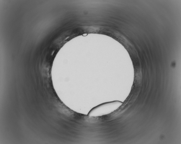 X0000116830525201001291646