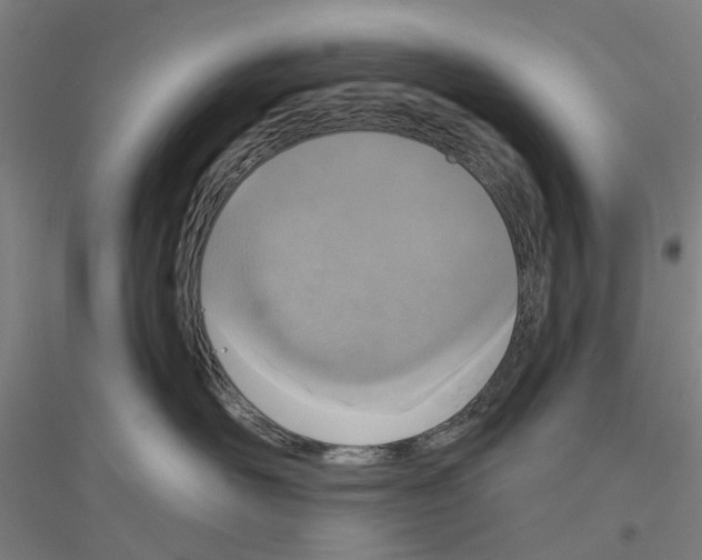 X0000116830526201001291646