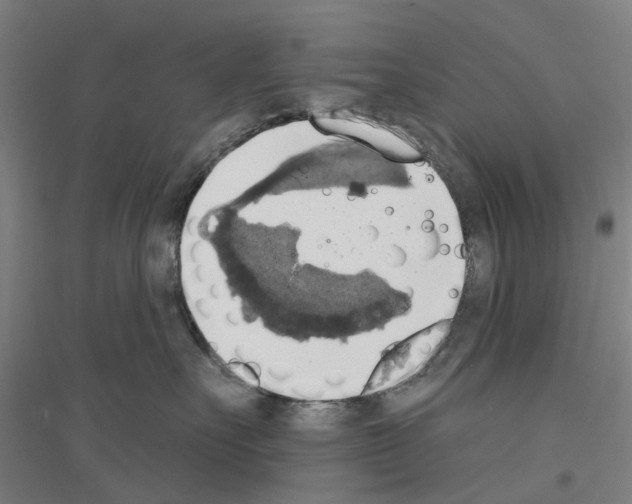 X0000116830527201001291646