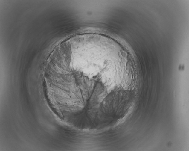 X0000116830529201001291645