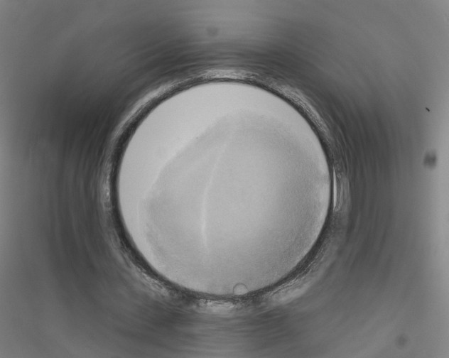 X0000116830531201001291645