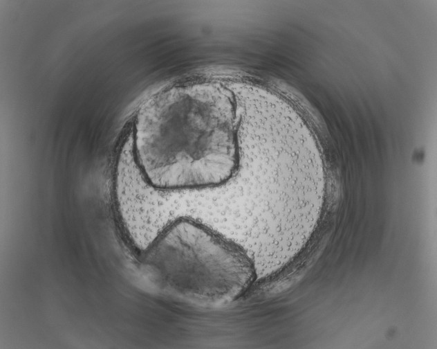 X0000116830533201001291645