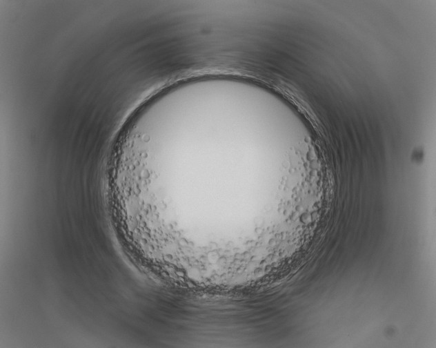 X0000116830534201001291645