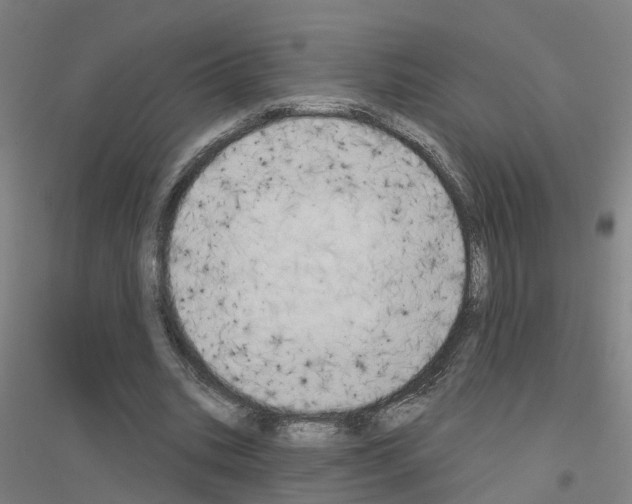 X0000116830535201001291645