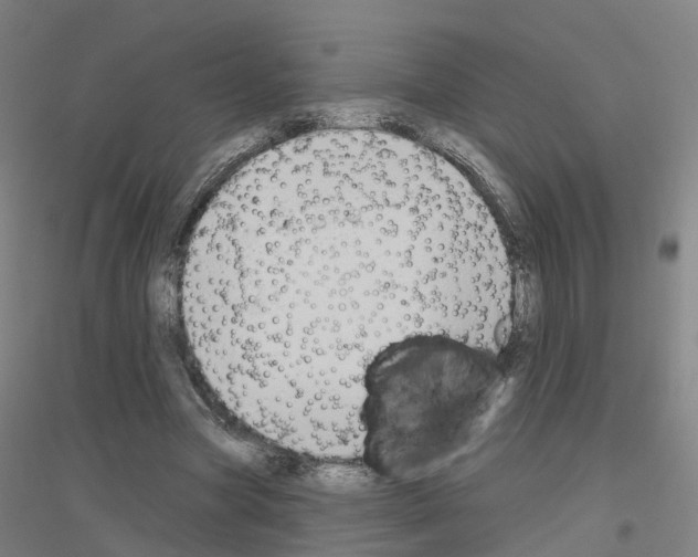 X0000116830537201001291645