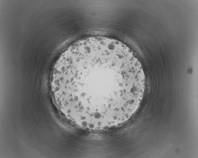 X0000116830538201001291645