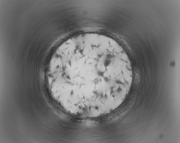 X0000116830539201001291645