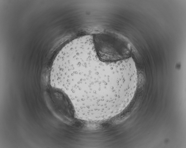 X0000116830541201001291645