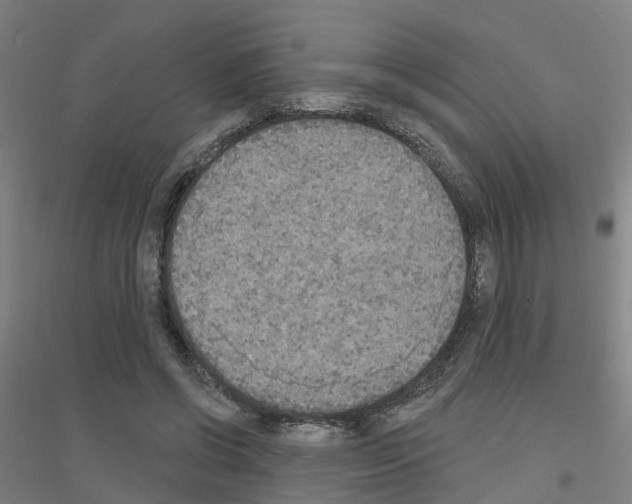 X0000116830542201001291645