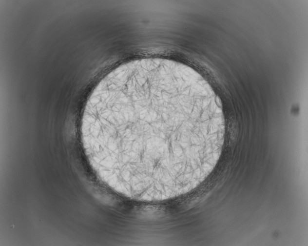 X0000116830546201001291645