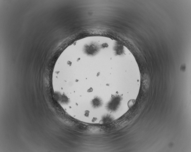 X0000116830547201001291645