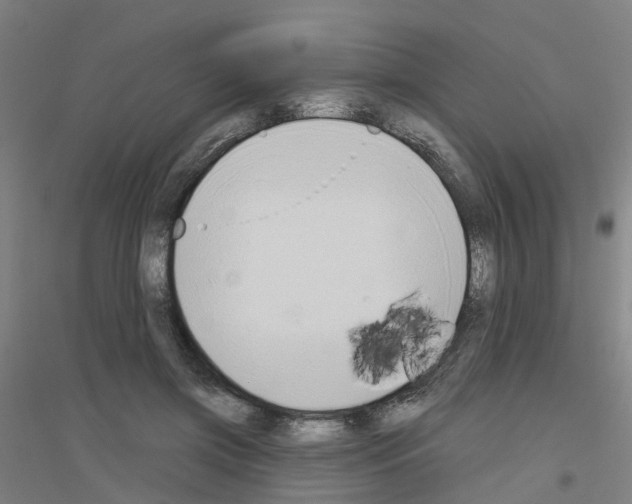 X0000116830549201001291645