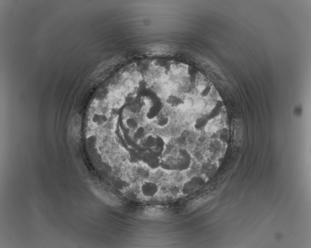 X0000116830550201001291645