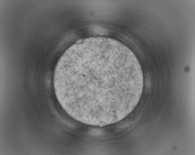 X0000116830551201001291645