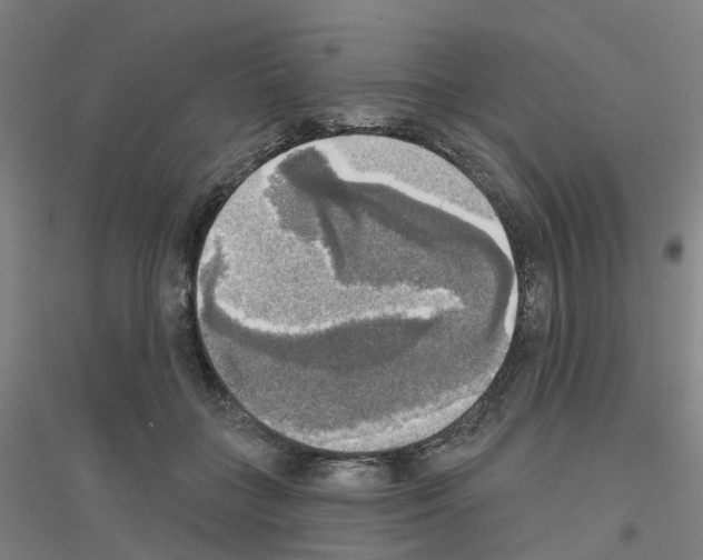 X0000116830555201001291645