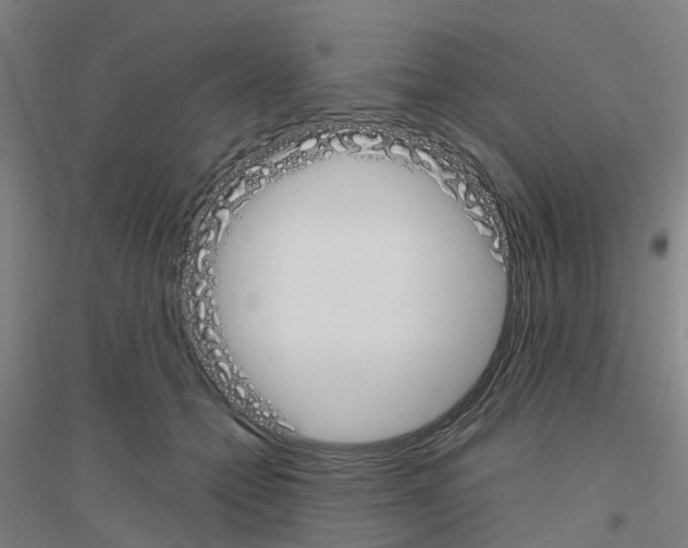 X0000116830558201001291645