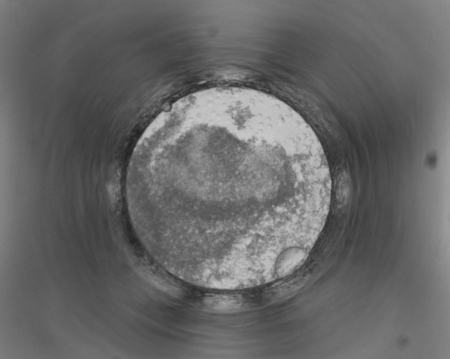 X0000116830559201001291645