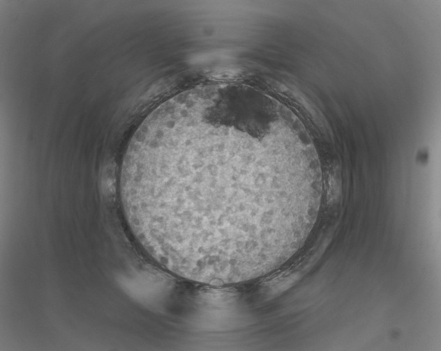 X0000116830561201001291645