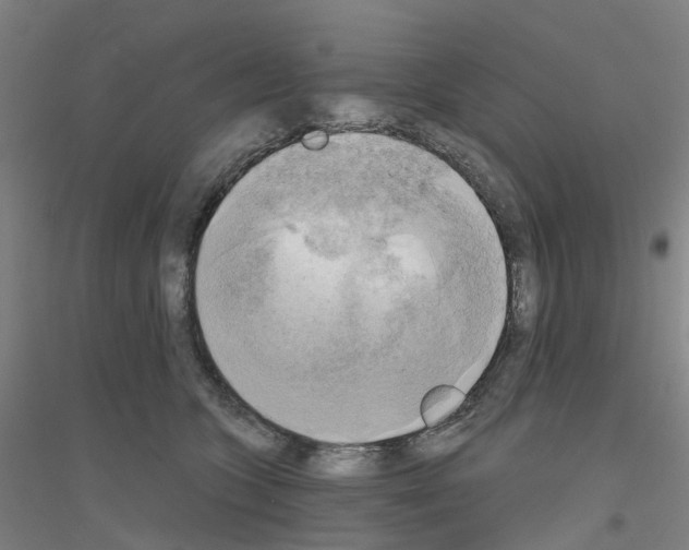 X0000116830563201001291645