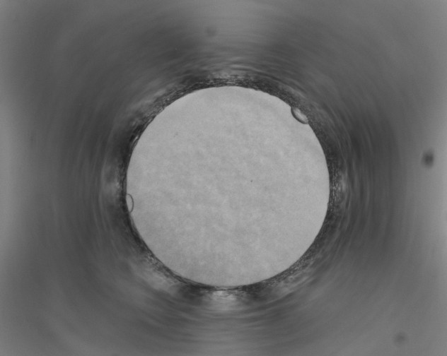 X0000116830566201001291645