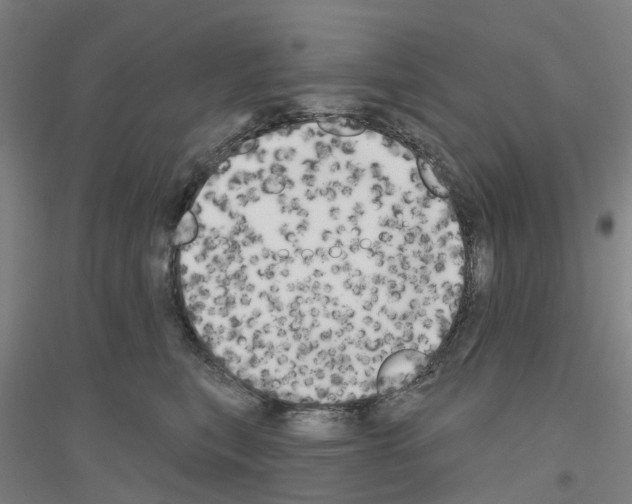 X0000116830567201001291645