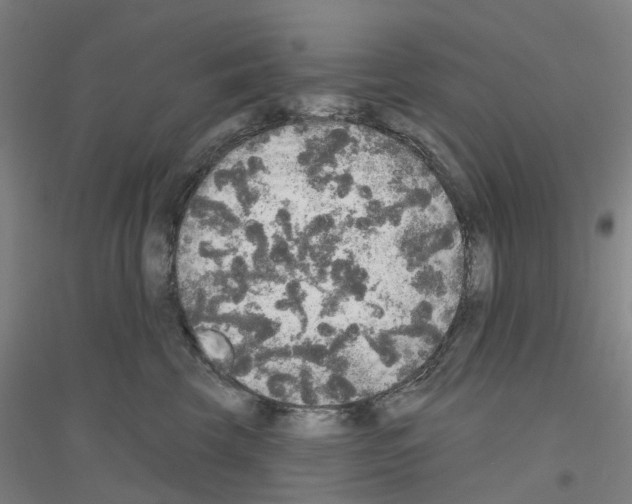 X0000116830569201001291645