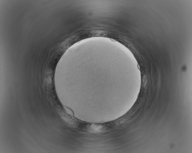 X0000116830570201001291645