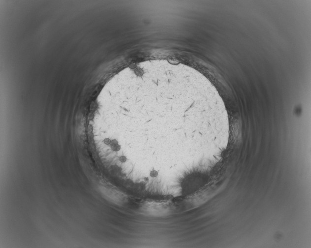 X0000116830571201001291645