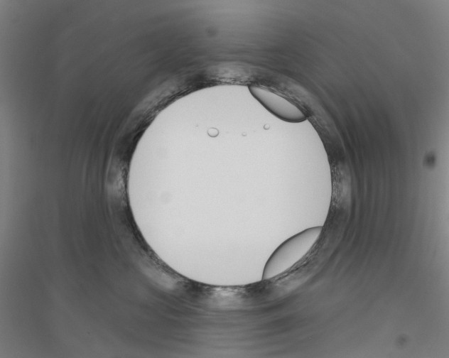 X0000116830573201001291645