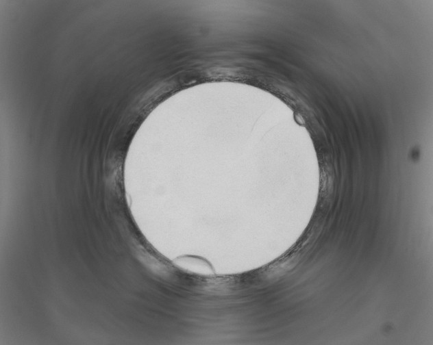 X0000116830574201001291645