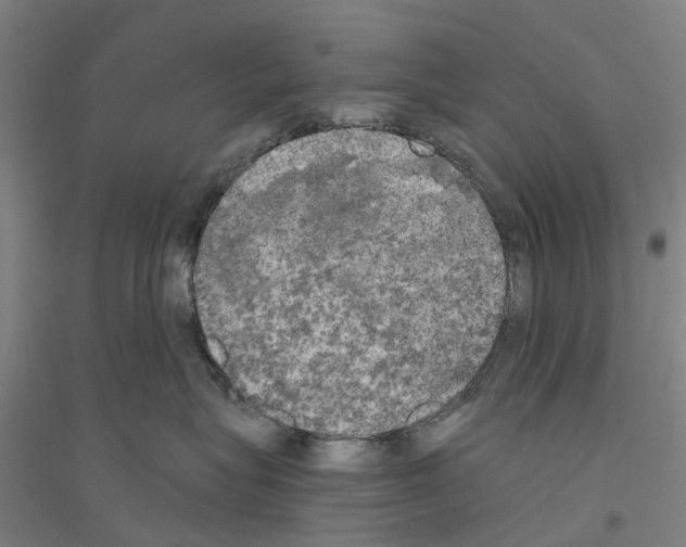 X0000116830575201001291645