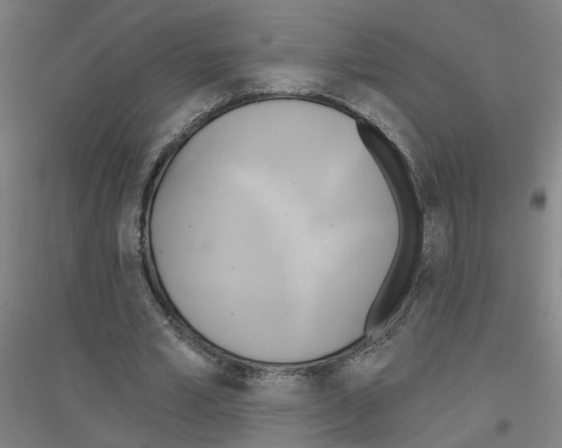 X0000116830581201001291645