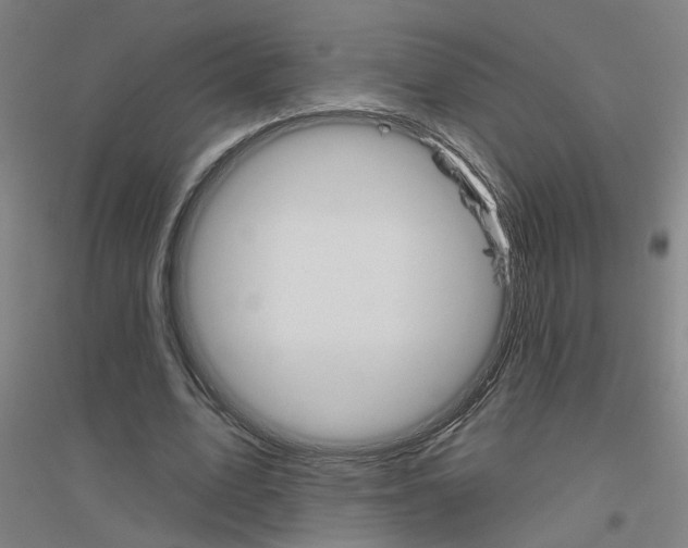 X0000116830583201001291645